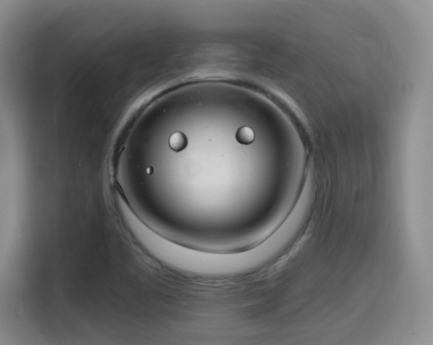 X0000115701461200911191220