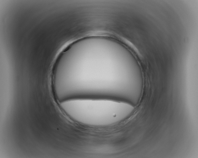 X0000115701463200911191220