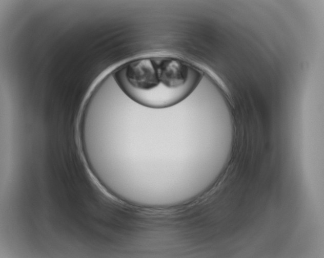 X0000115701468200911191220