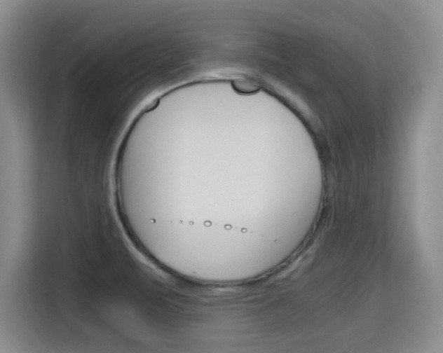 X0000115701471200911191220