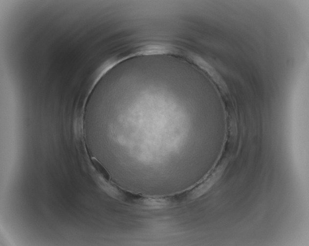 X0000115701473200911191219