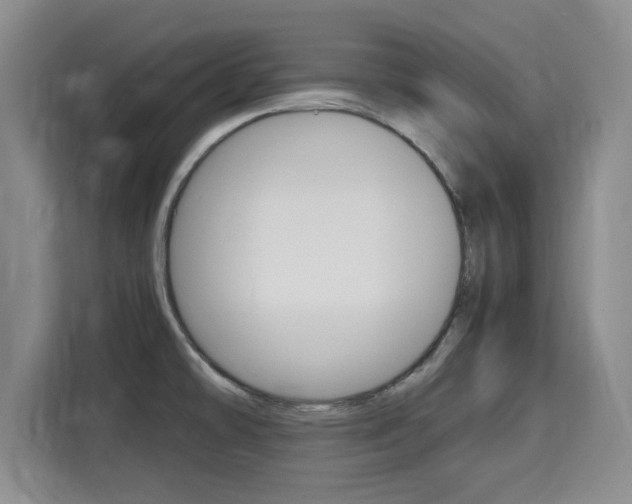 X0000115701478200911191219