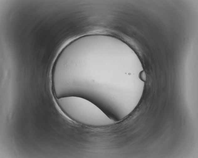 X0000115701479200911191219