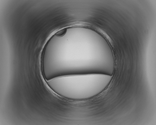 X0000115701483200911191219