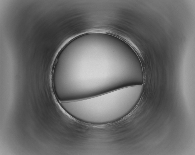 X0000115701484200911191219