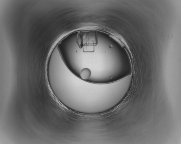 X0000115701488200911191219