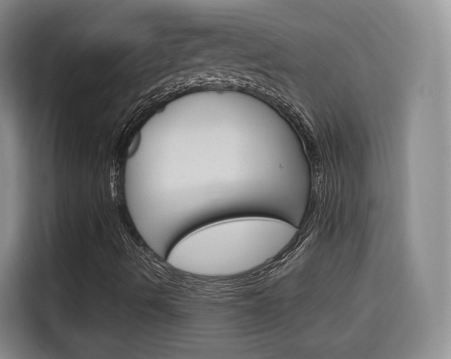 X0000115701490200911191219