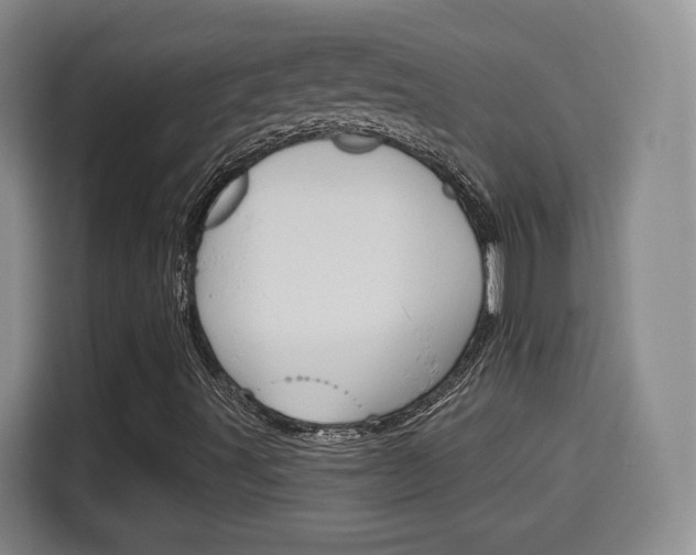 X0000115701491200911191219