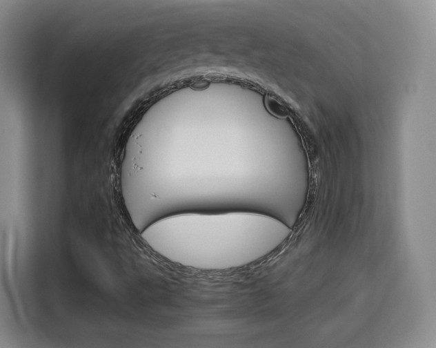 X0000115701495200911191219