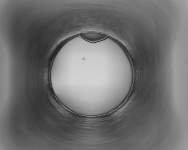 X0000115701499200911191219