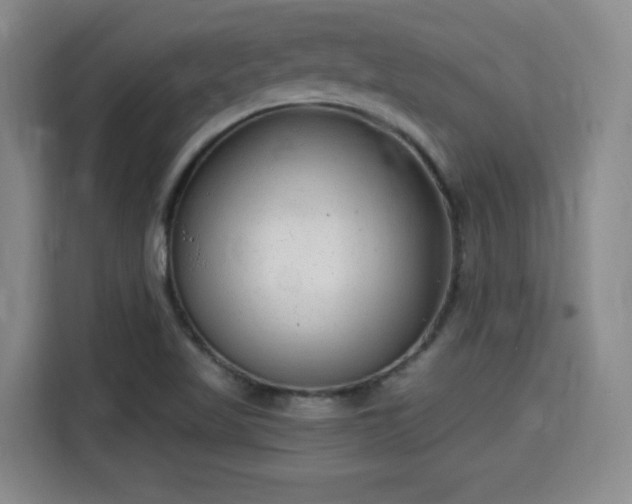 X0000115701509200911191219