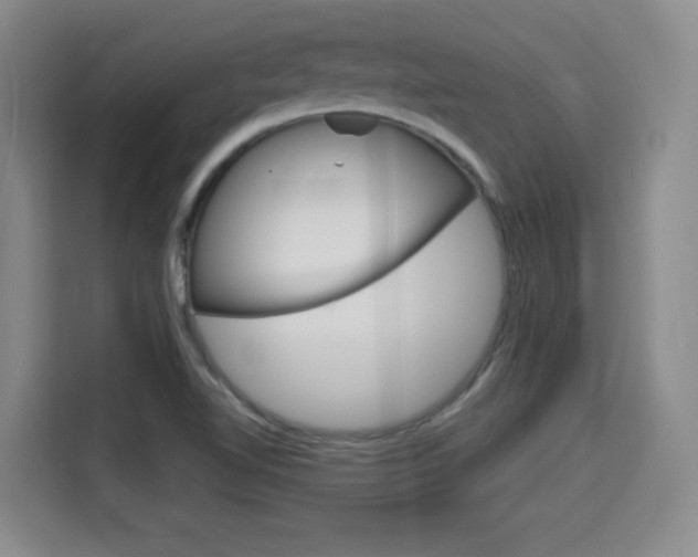 X0000115701510200911191219