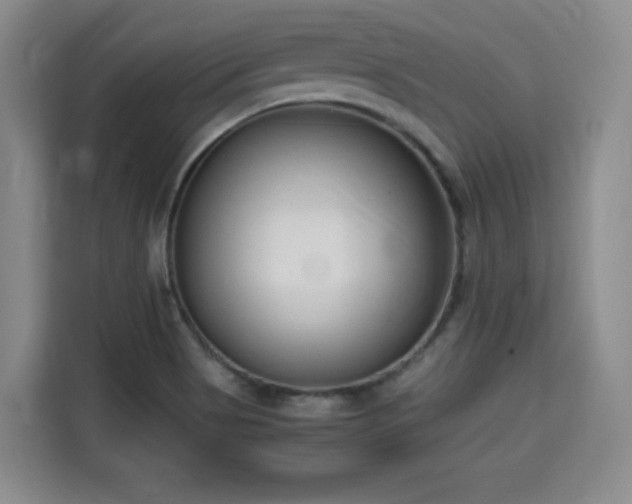 X0000115701513200911191219