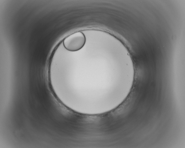 X0000115701514200911191219