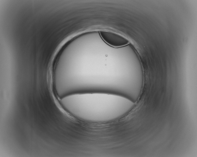 X0000115701515200911191219