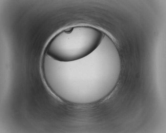 X0000115701518200911191219