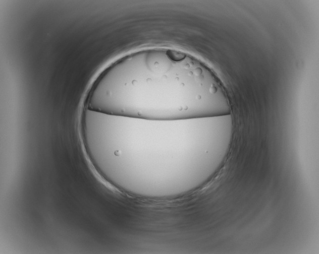 X0000115701519200911191219