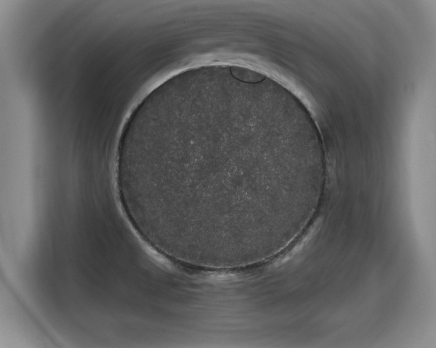 X0000115701525200911191219