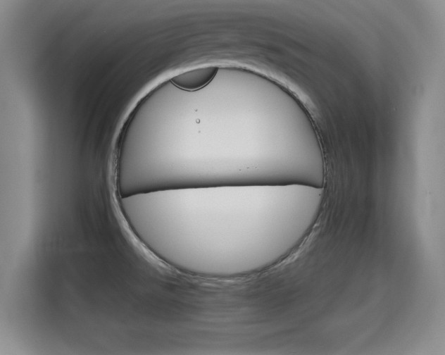 X0000115701526200911191219