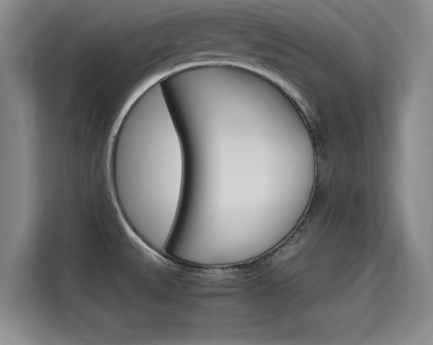 X0000115701527200911191219