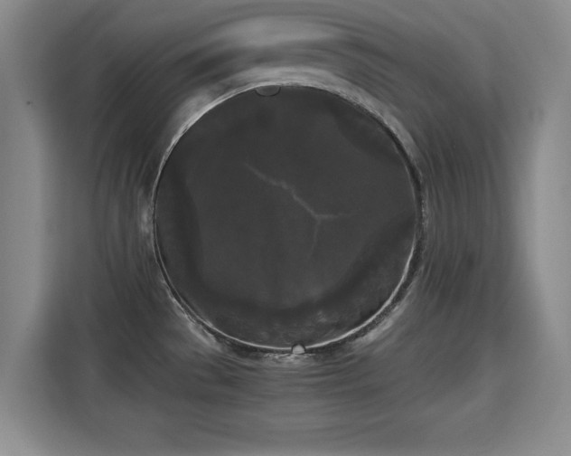 X0000115701529200911191219