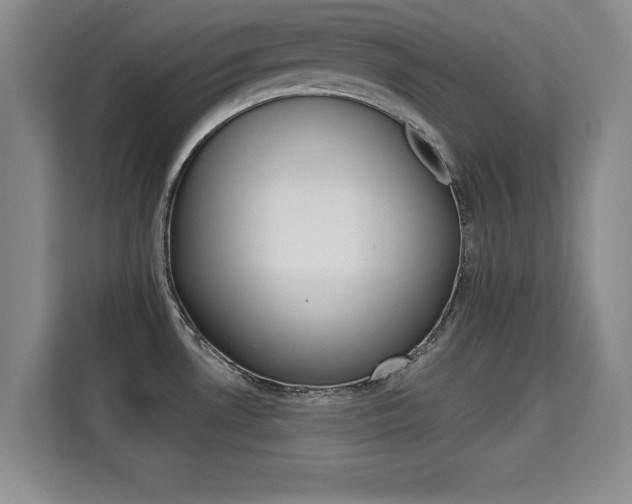 X0000115701530200911191219