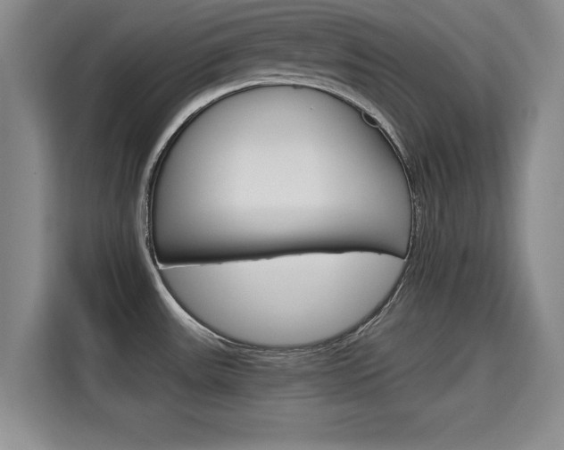 X0000115701531200911191219