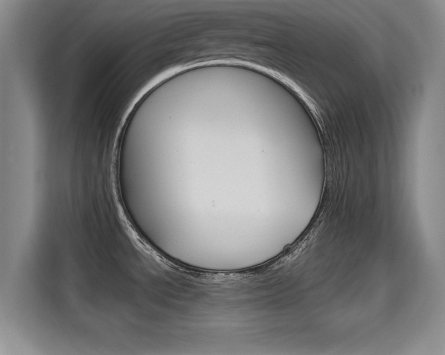 X0000115701534200911191219