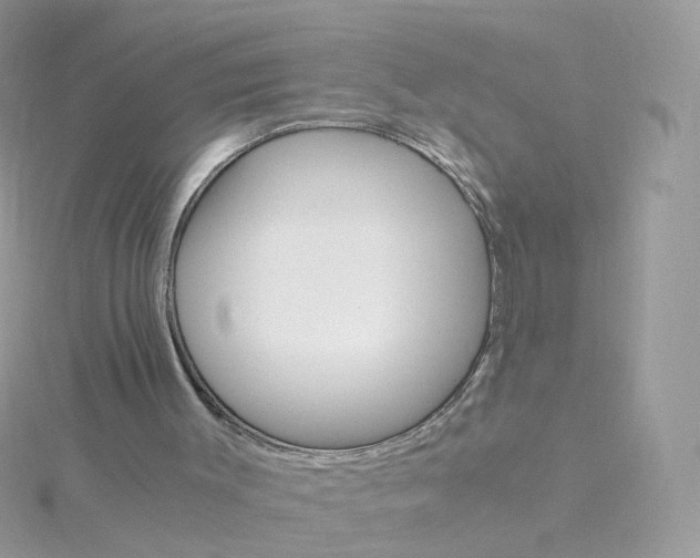 X0000115700003200911251844