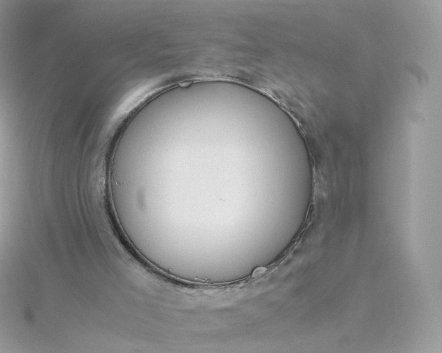 X0000115700005200911251844