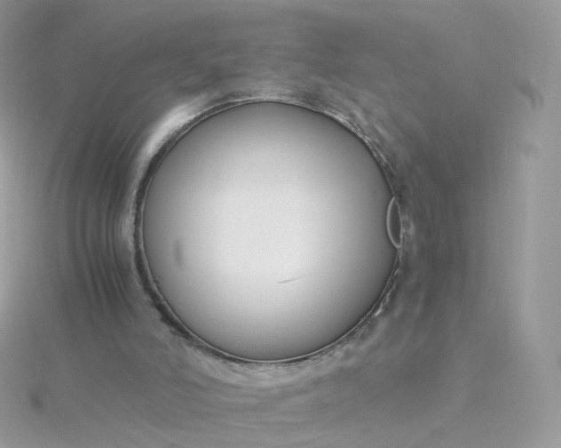 X0000115700006200911251844