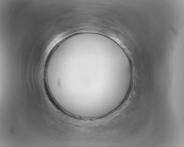 X0000115700007200911251844