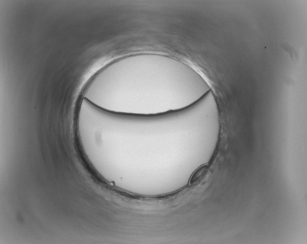 X0000115700008200911251844