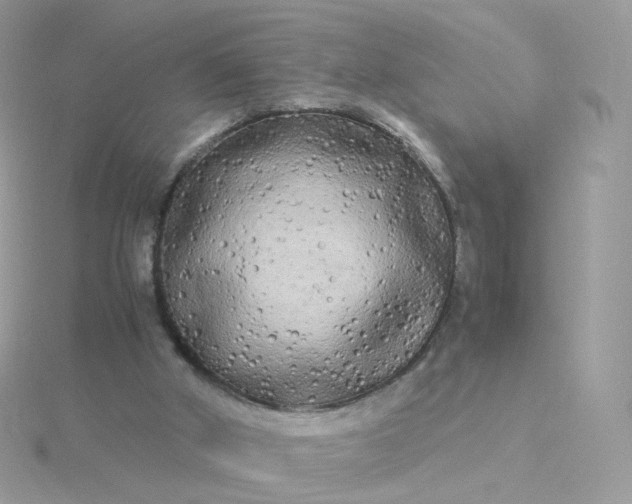 X0000115700010200911251844