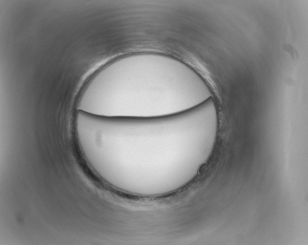 X0000115700012200911251844