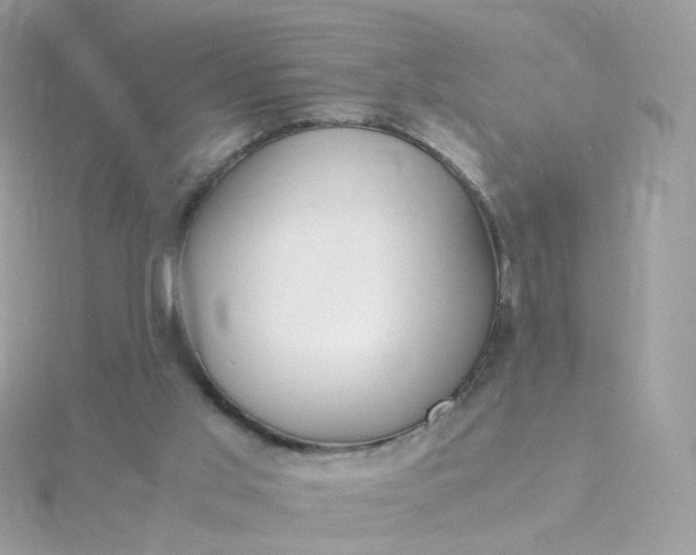 X0000115700013200911251844