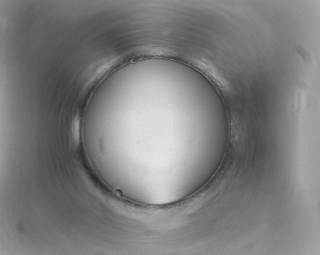 X0000115700014200911251844