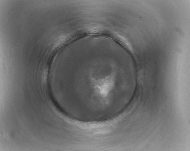 X0000115700018200911251844