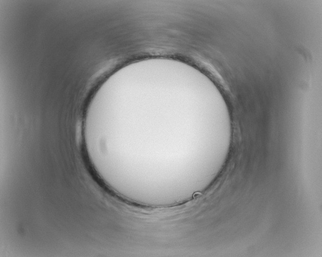 X0000115700019200911251844