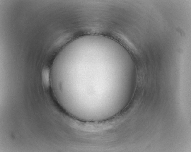 X0000115700022200911251844