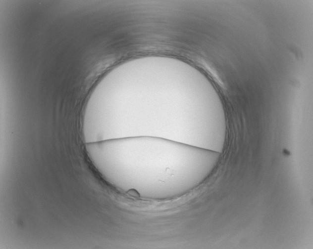 X0000115700023200911251844