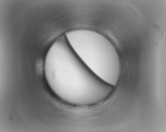 X0000115700024200911251844