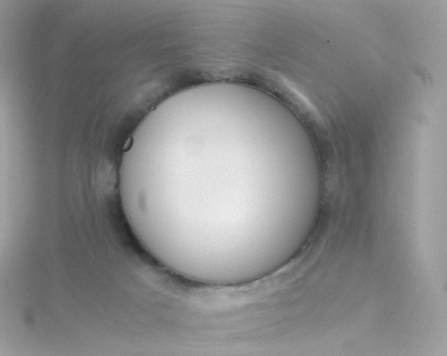 X0000115700025200911251844