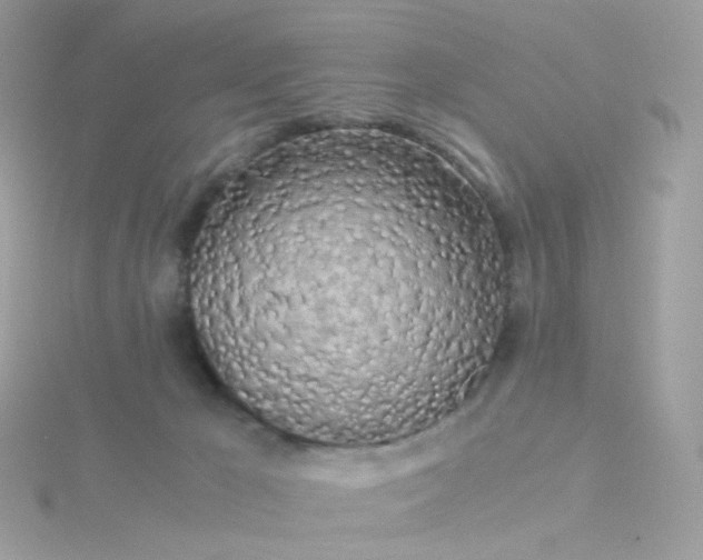 X0000115700029200911251844