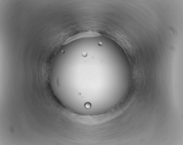 X0000115700030200911251844