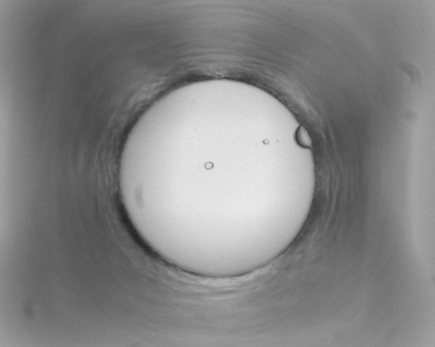 X0000115700031200911251844