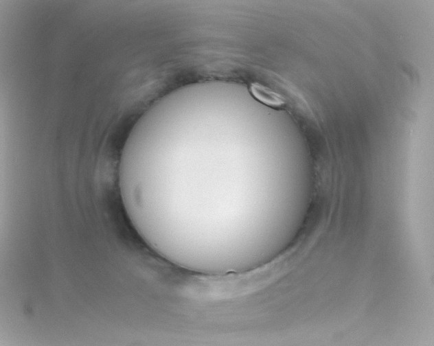 X0000115700033200911251844