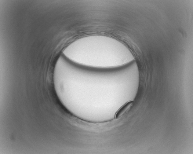 X0000115700035200911251844