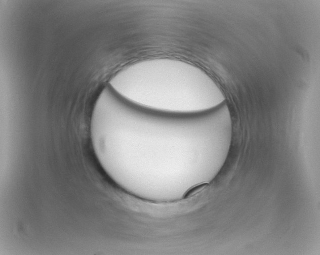 X0000115700039200911251844