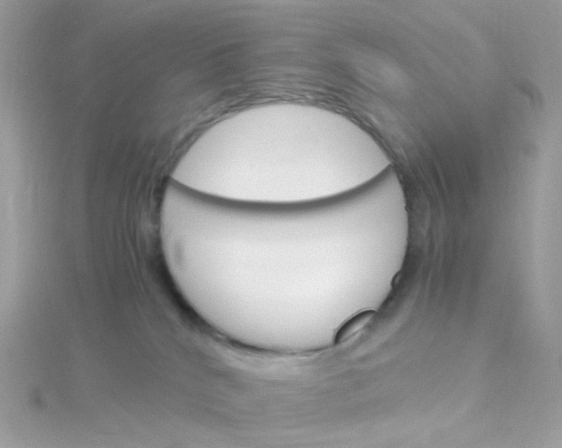 X0000115700040200911251843